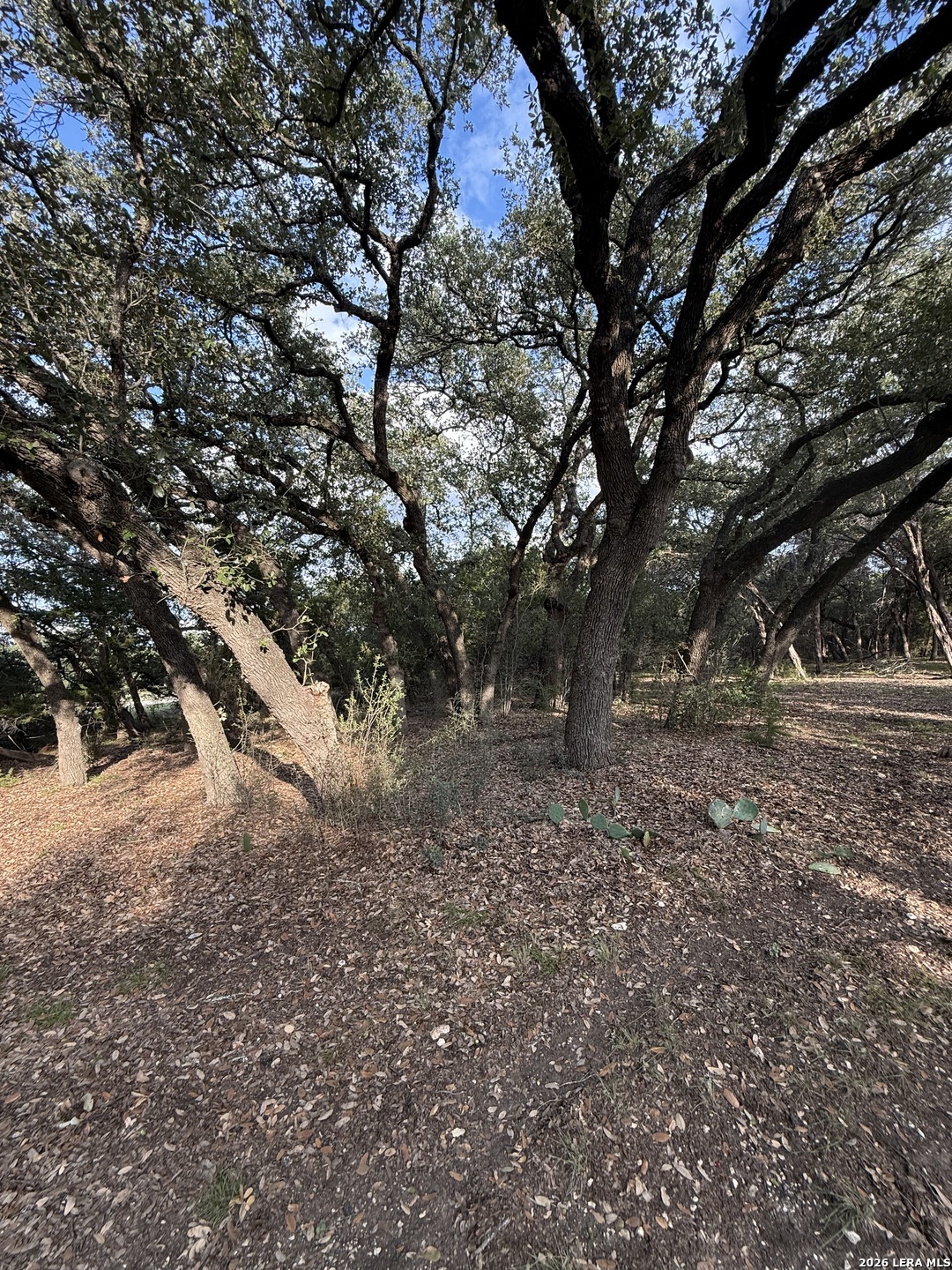 207 Tracie Trail Lakehills TX 78063