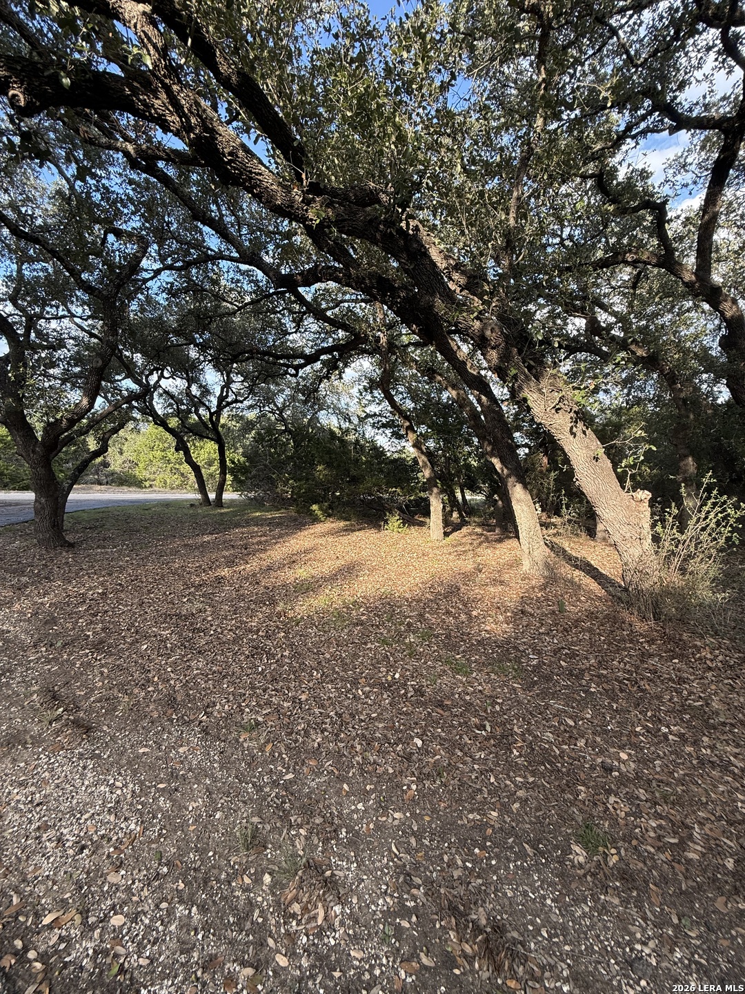 207 Tracie Trail Lakehills TX 78063