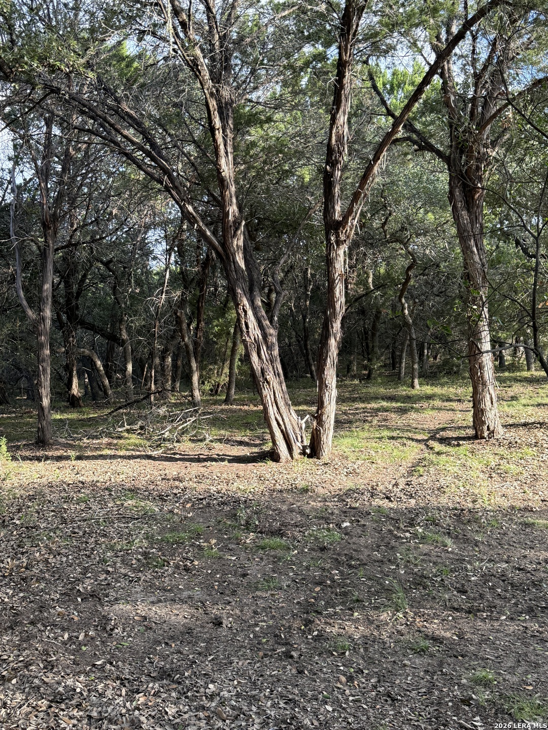 207 Tracie Trail Lakehills TX 78063