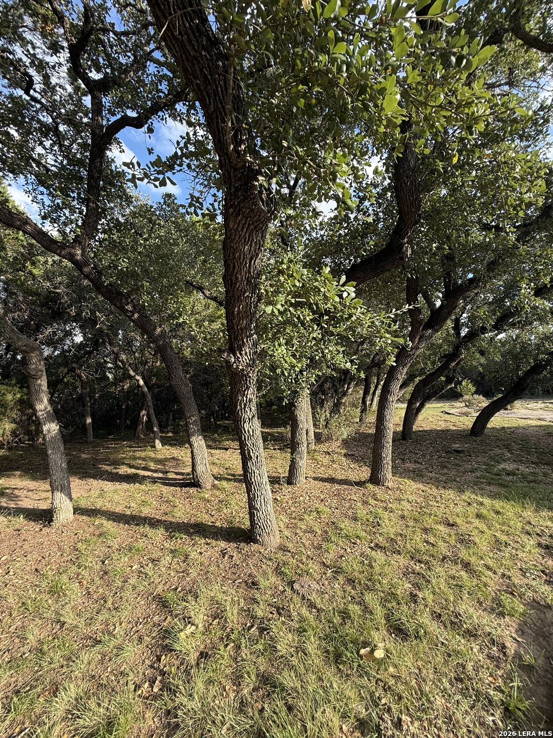 207 Tracie Trail Lakehills TX 78063