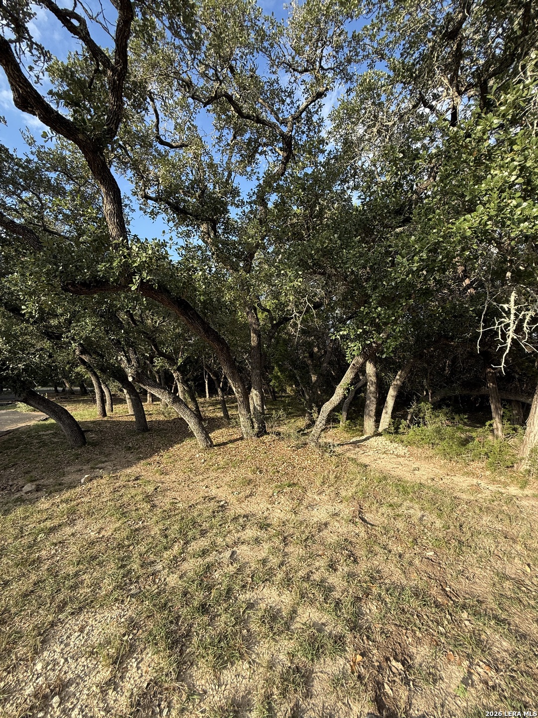 207 Tracie Trail Lakehills TX 78063