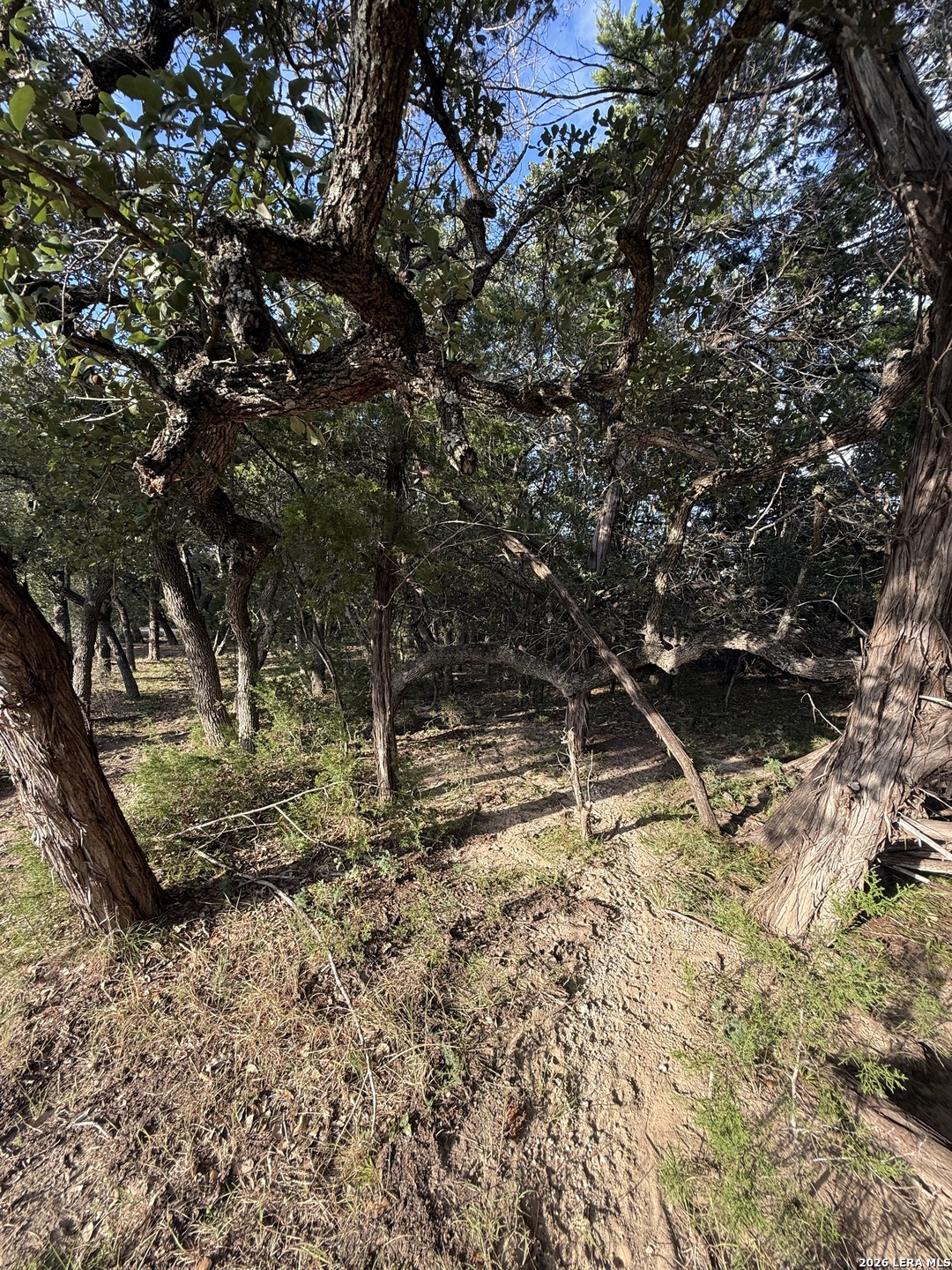 207 Tracie Trail Lakehills TX 78063