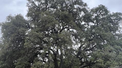 Lot 24 Heinen Circle Bandera TX 78003