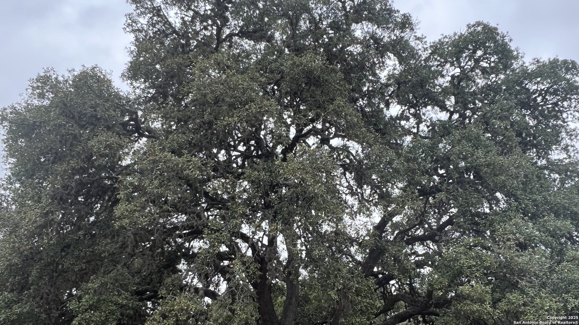 Lot 24 Heinen Circle Bandera TX 78003