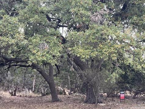 Lot 24 Heinen Circle Bandera TX 78003