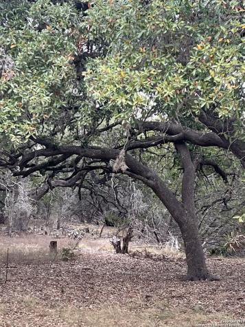 Lot 24 Heinen Circle Bandera TX 78003