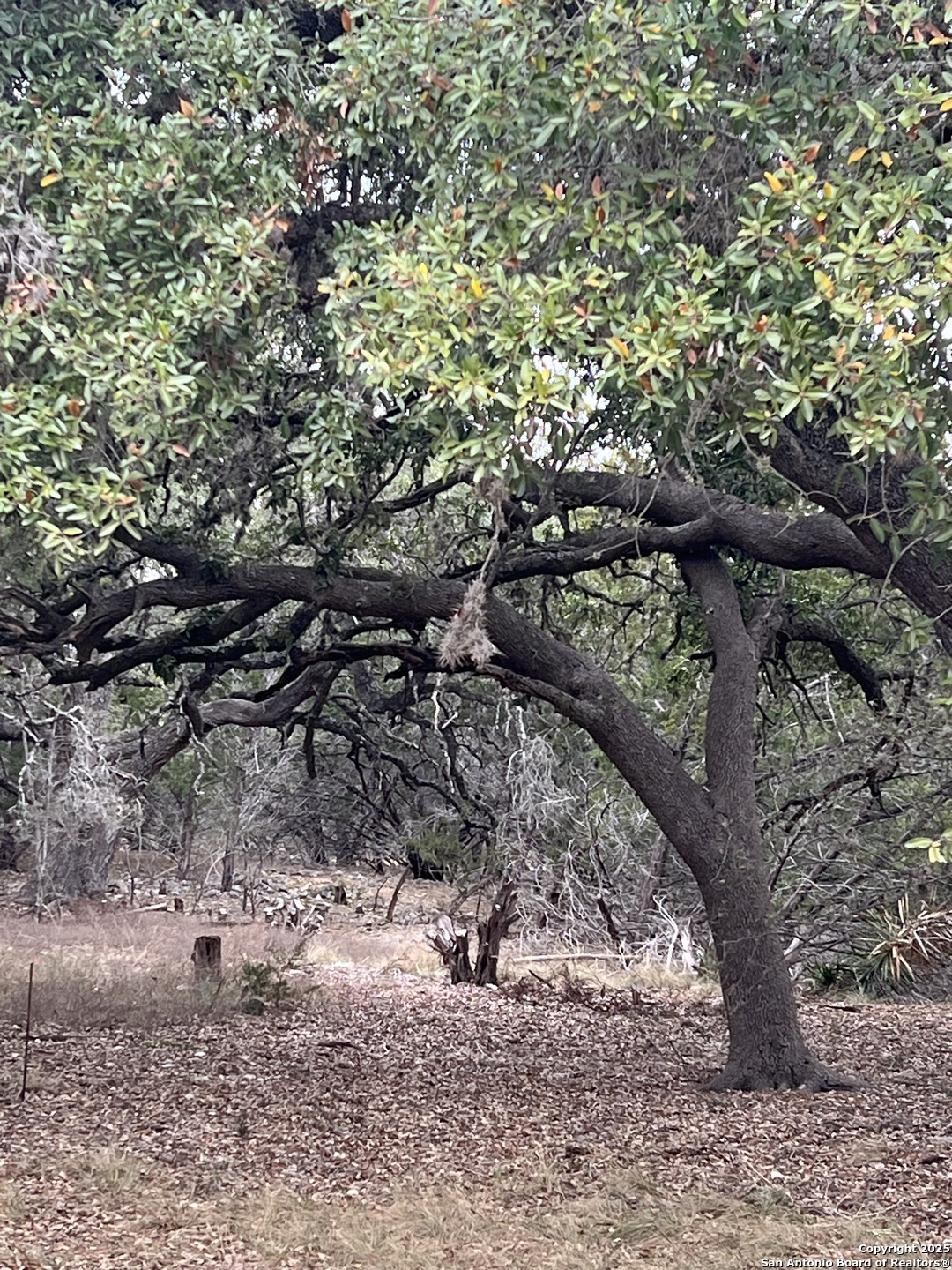 Lot 24 Heinen Circle Bandera TX 78003