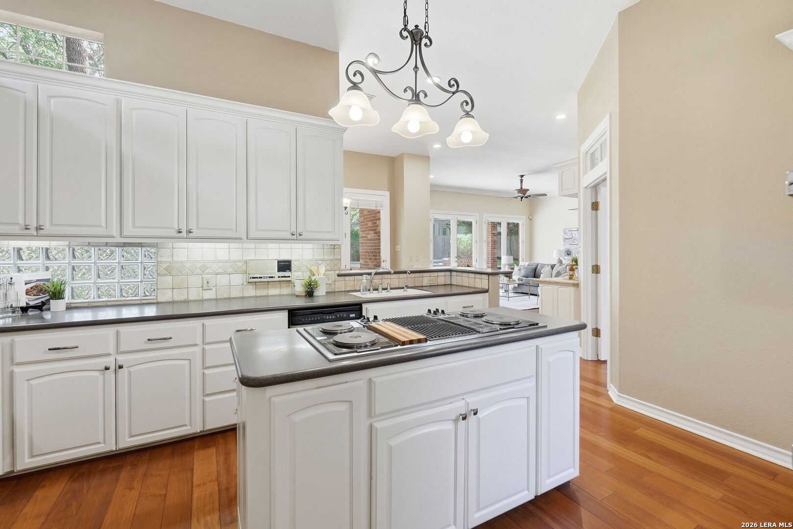 2226 Fawn Mist Lane San Antonio TX 78248