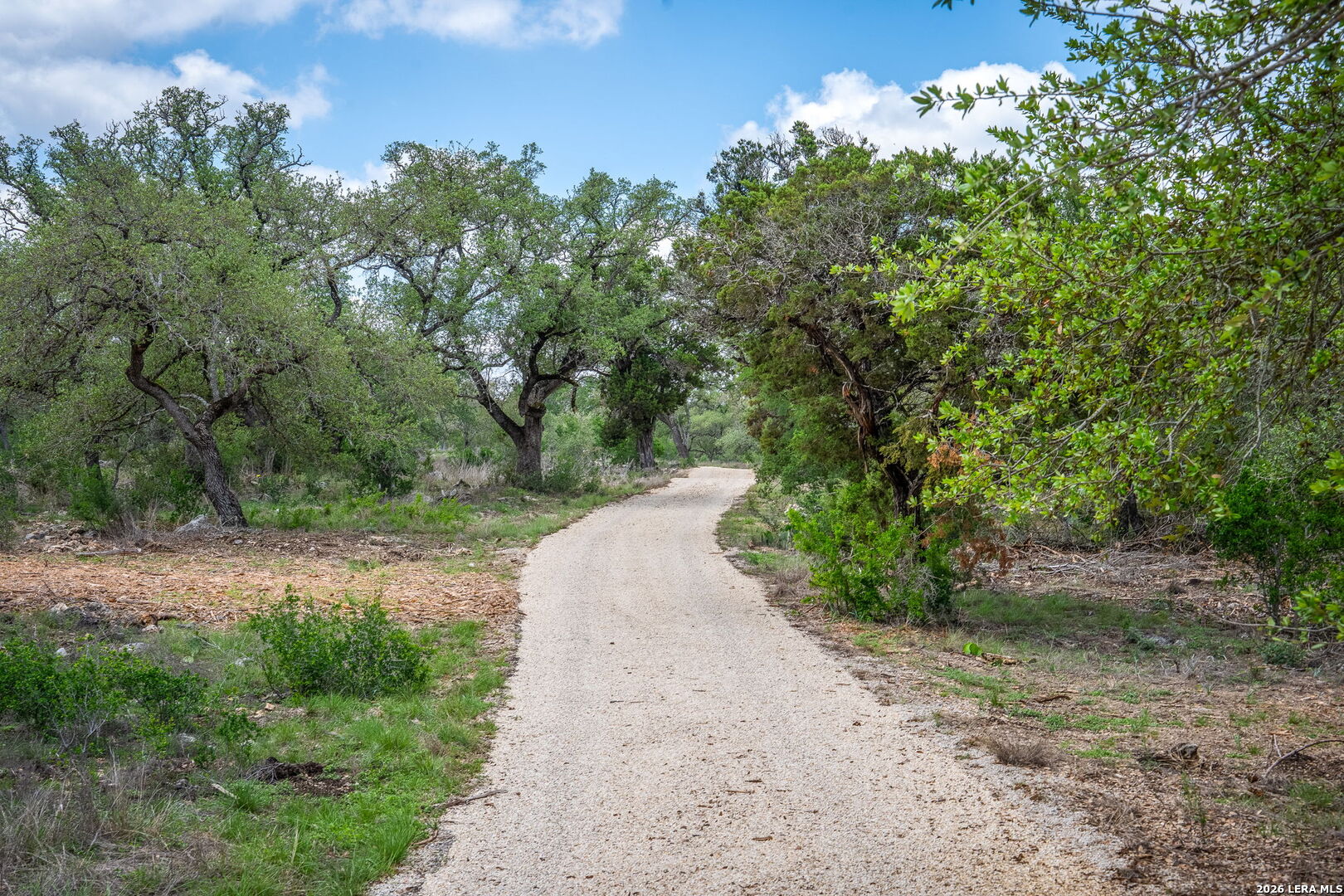 377 Buffalo Springs Road New Braunfels TX 78132
