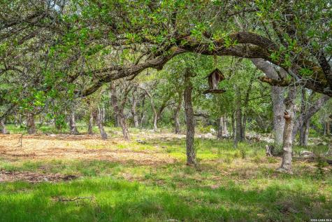 377 Buffalo Springs Road New Braunfels TX 78132