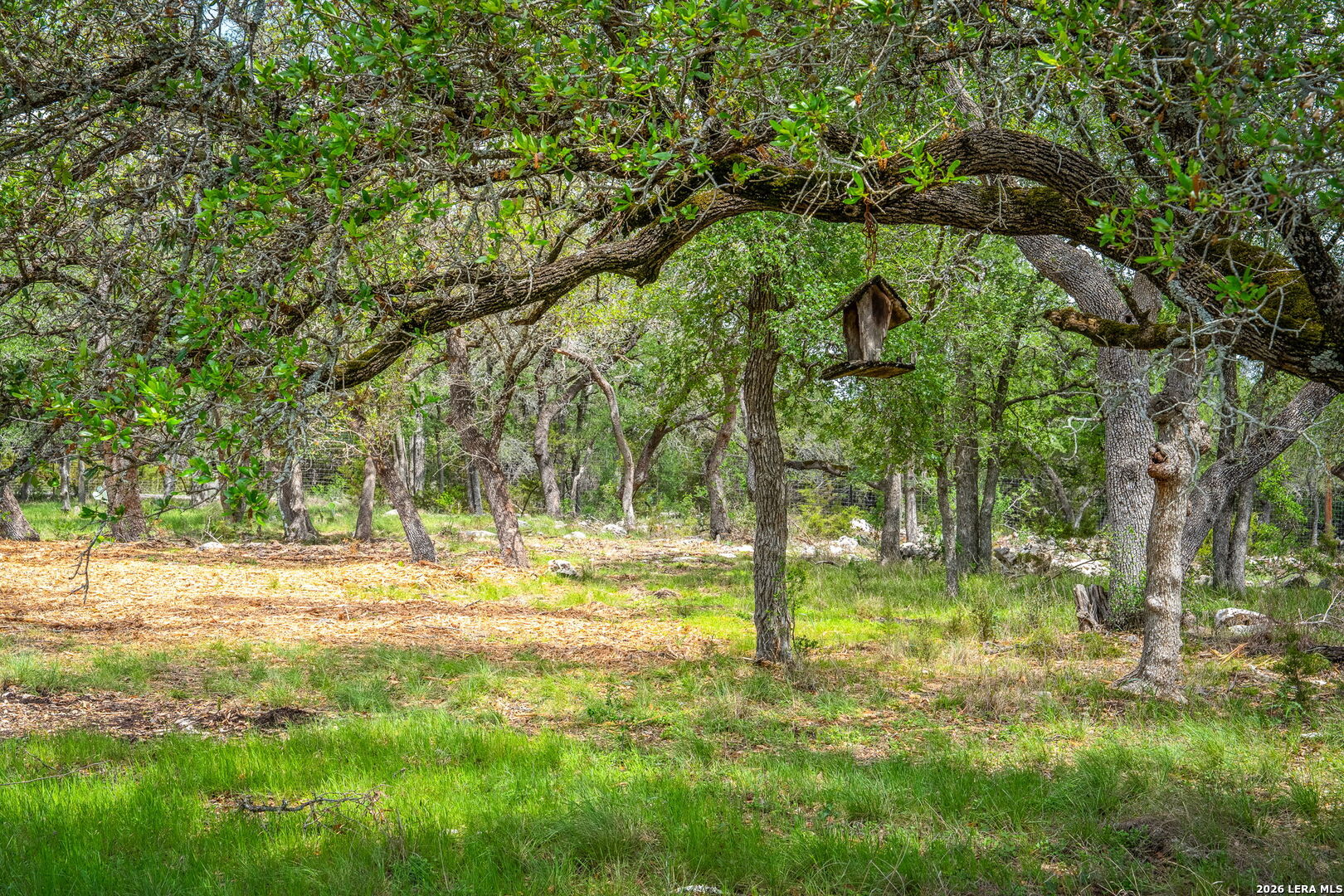 377 Buffalo Springs Road New Braunfels TX 78132