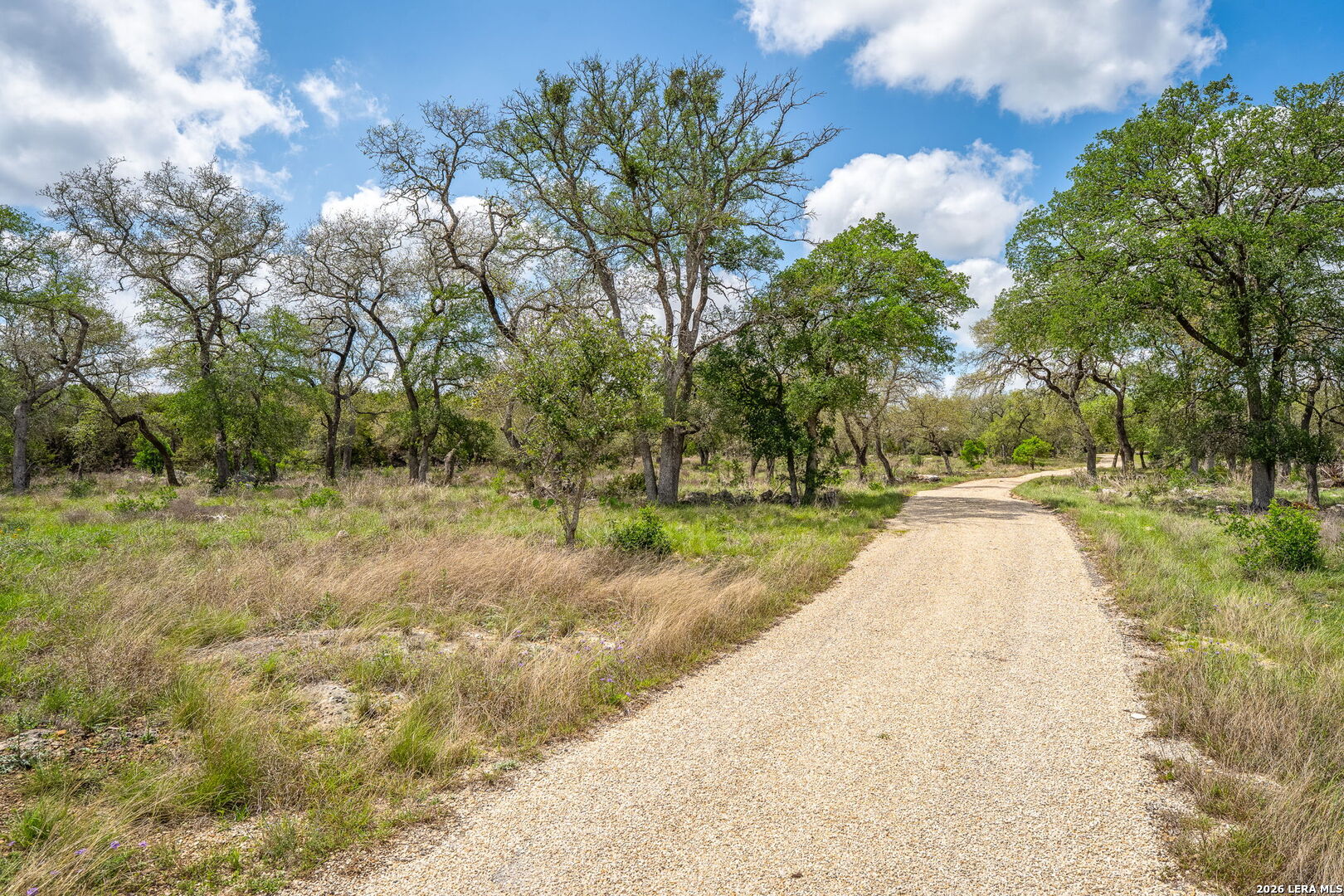 377 Buffalo Springs Road New Braunfels TX 78132