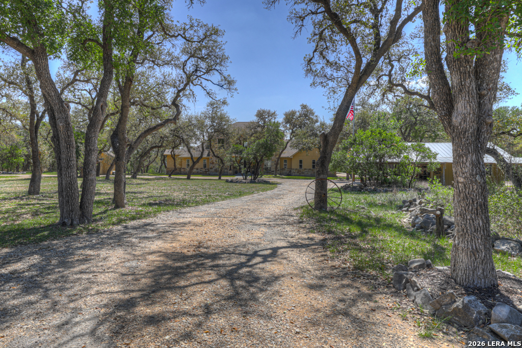 1262 Elm Creek Road New Braunfels TX 78132