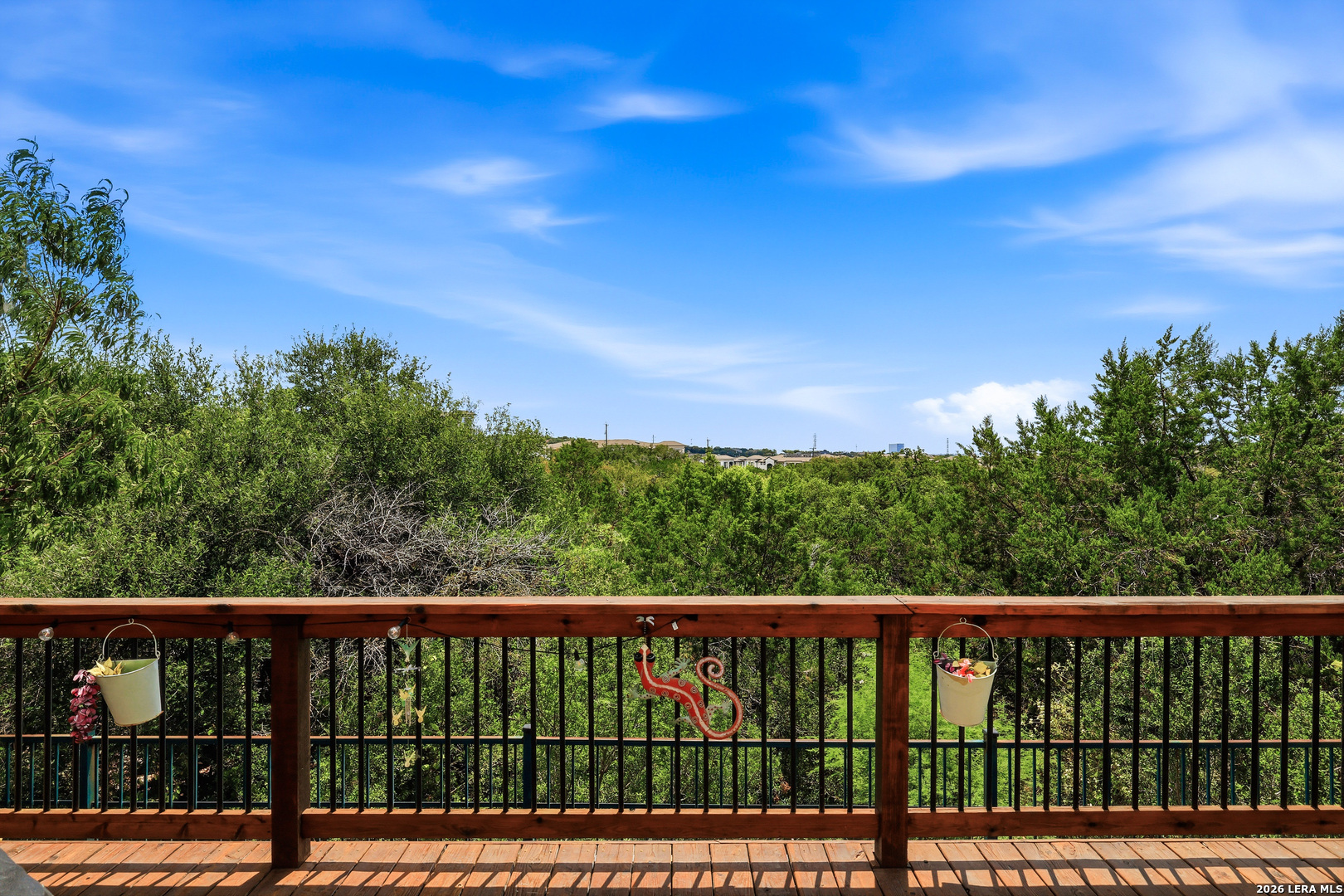 21742 Andrews Garden San Antonio TX 78258