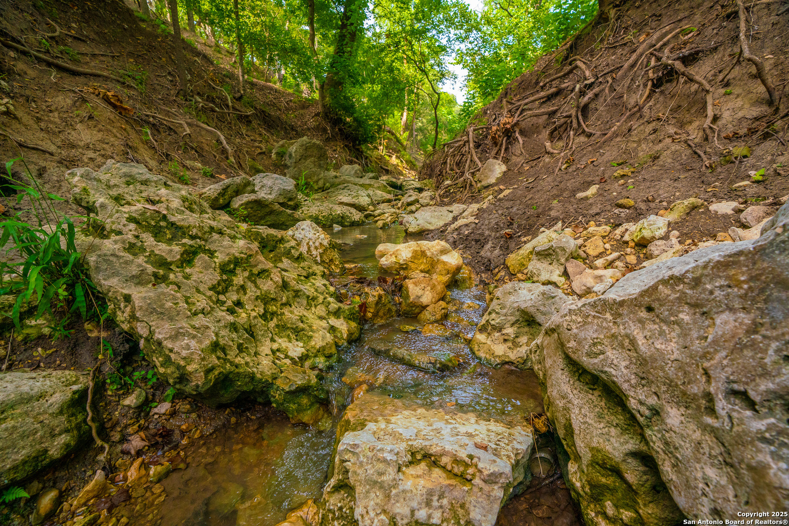 103 Misty Waters Boerne TX 78006