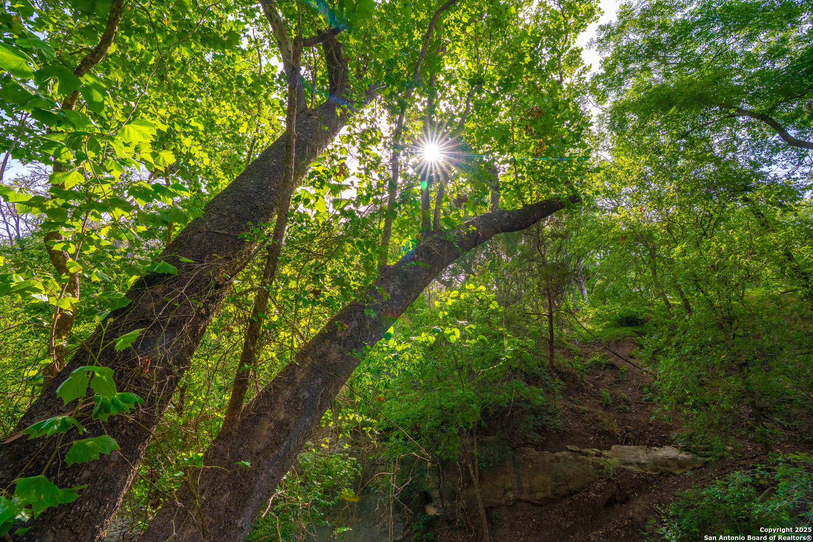 103 Misty Waters Boerne TX 78006