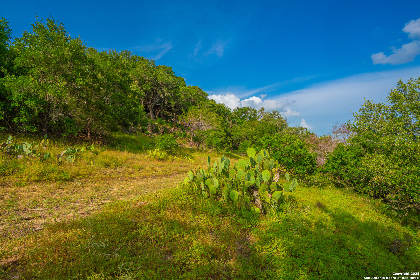 103 Misty Waters Boerne TX 78006