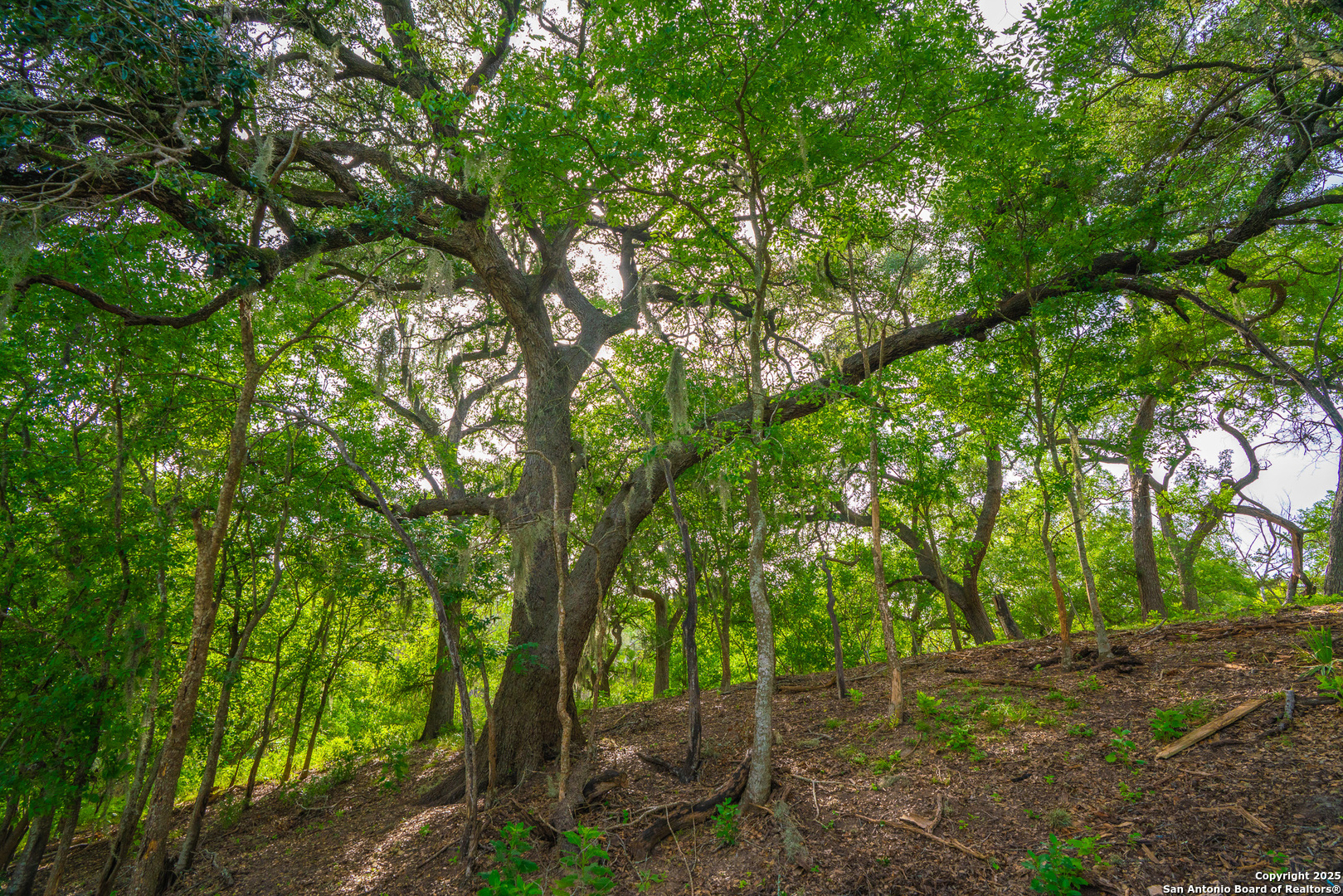 103 Misty Waters Boerne TX 78006