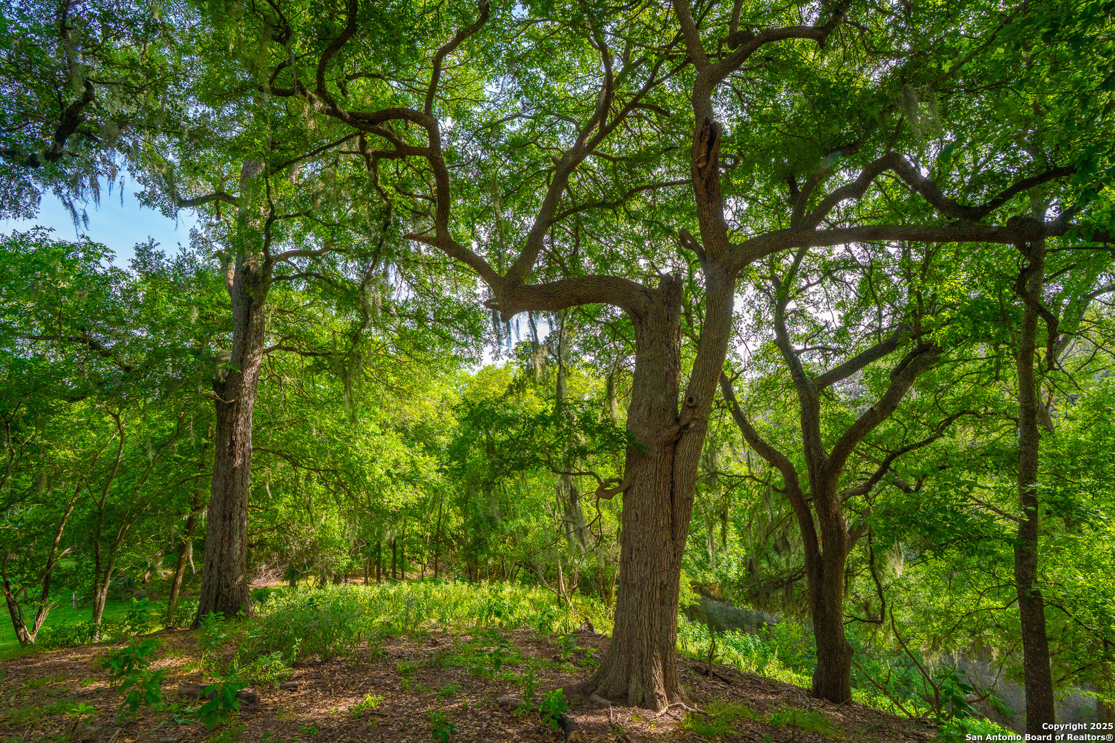 103 Misty Waters Boerne TX 78006