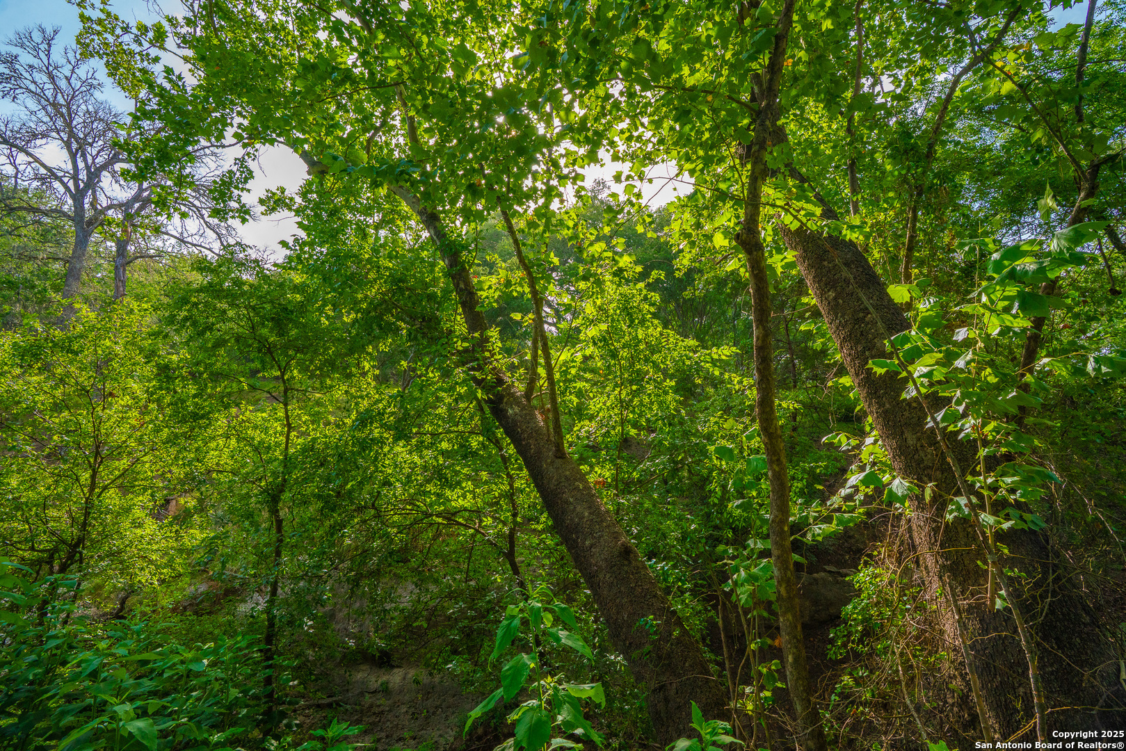 103 Misty Waters Boerne TX 78006