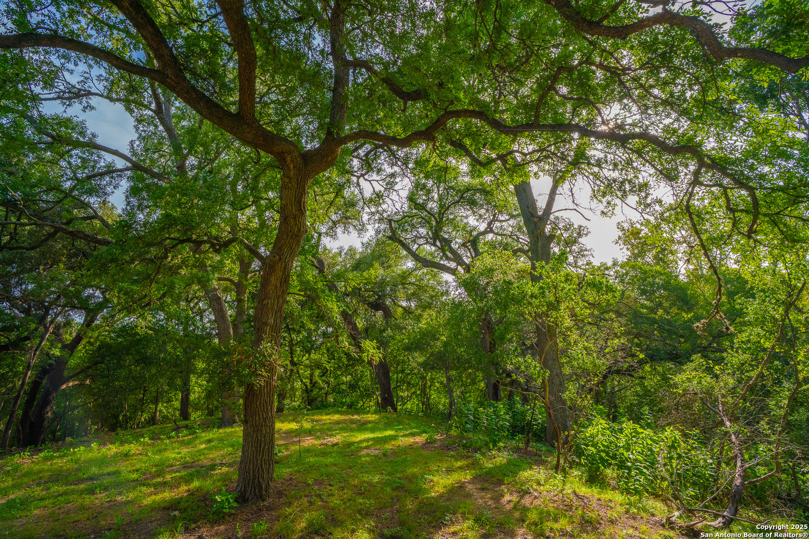 103 Misty Waters Boerne TX 78006