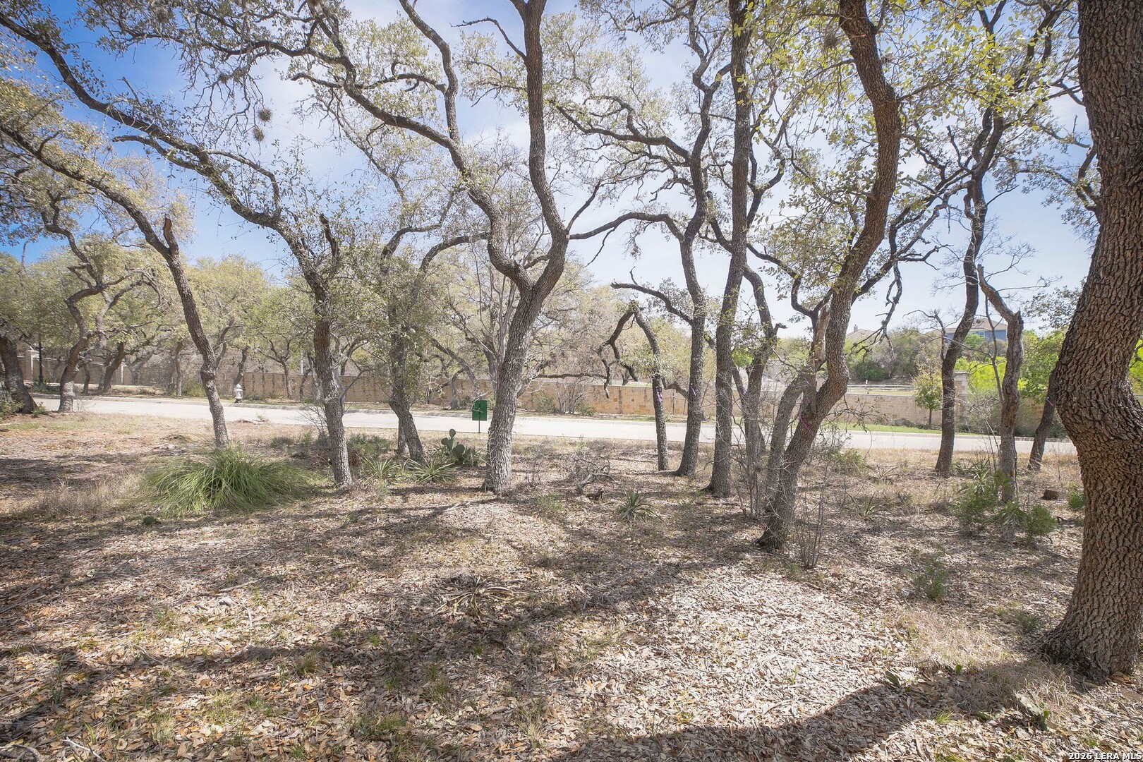 79 Percival San Antonio TX 78230