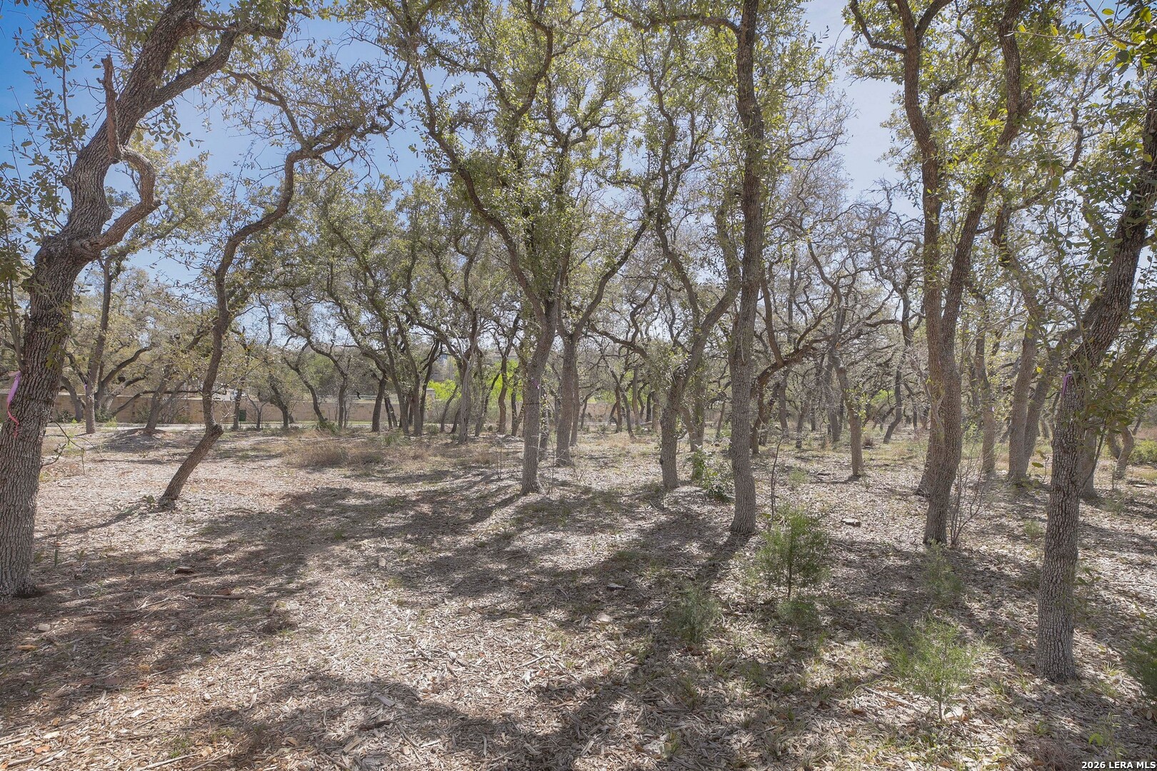 79 Percival San Antonio TX 78230
