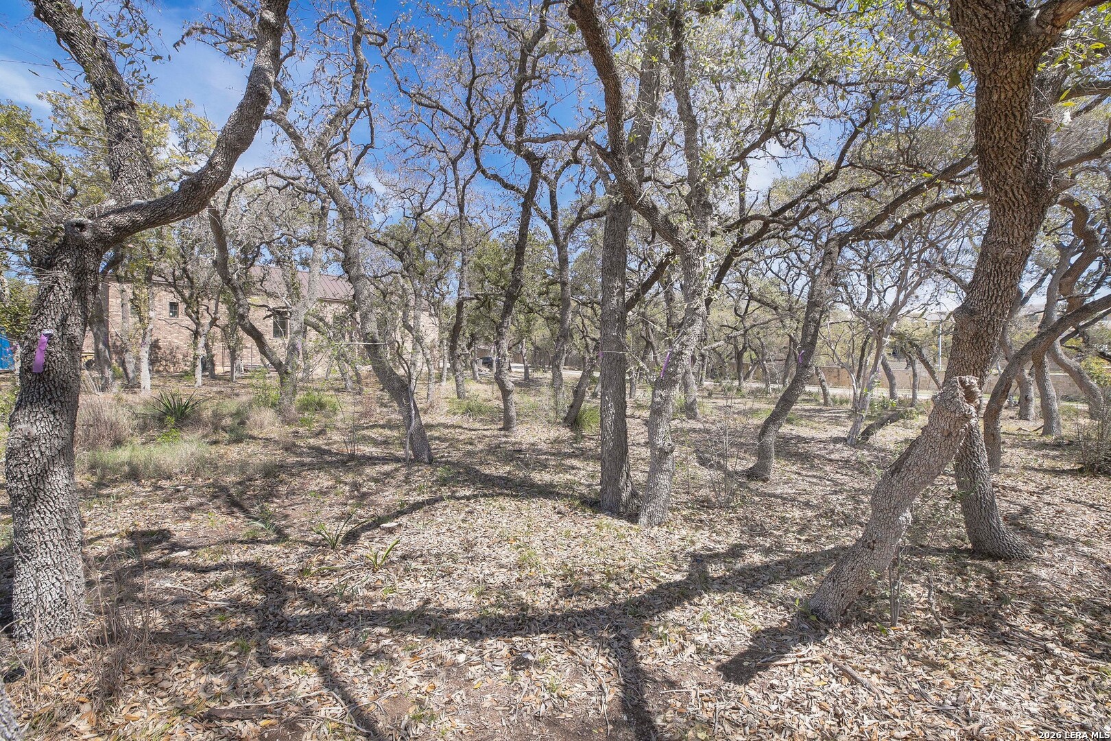 79 Percival San Antonio TX 78230