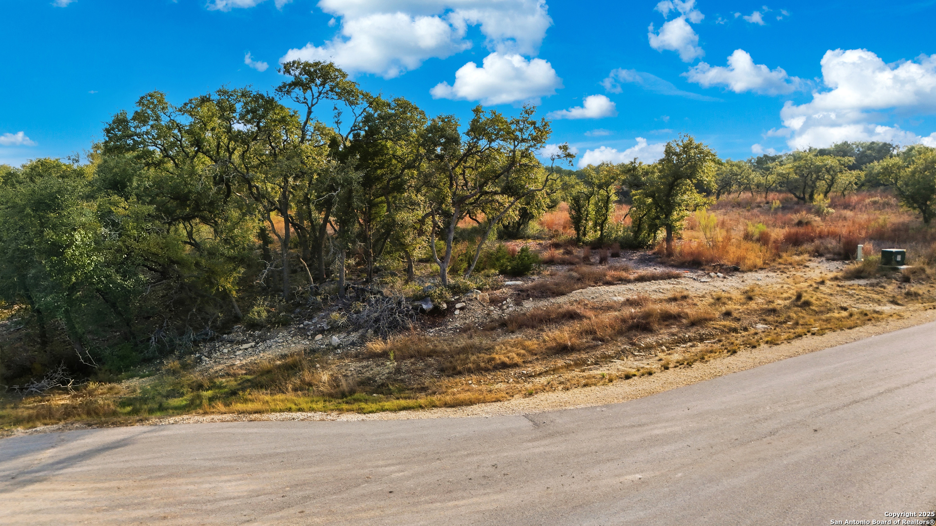 776 Roessler Way Bulverde TX 78163
