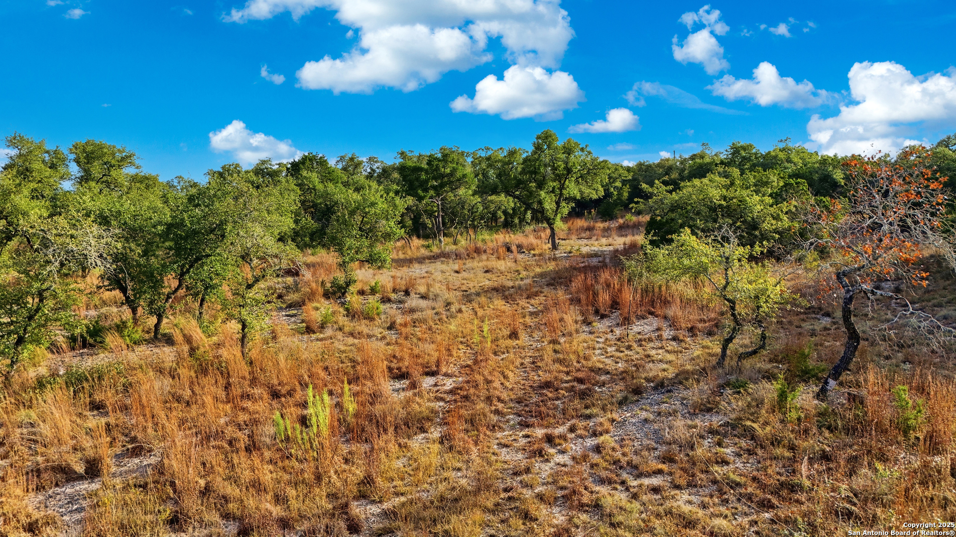 776 Roessler Way Bulverde TX 78163
