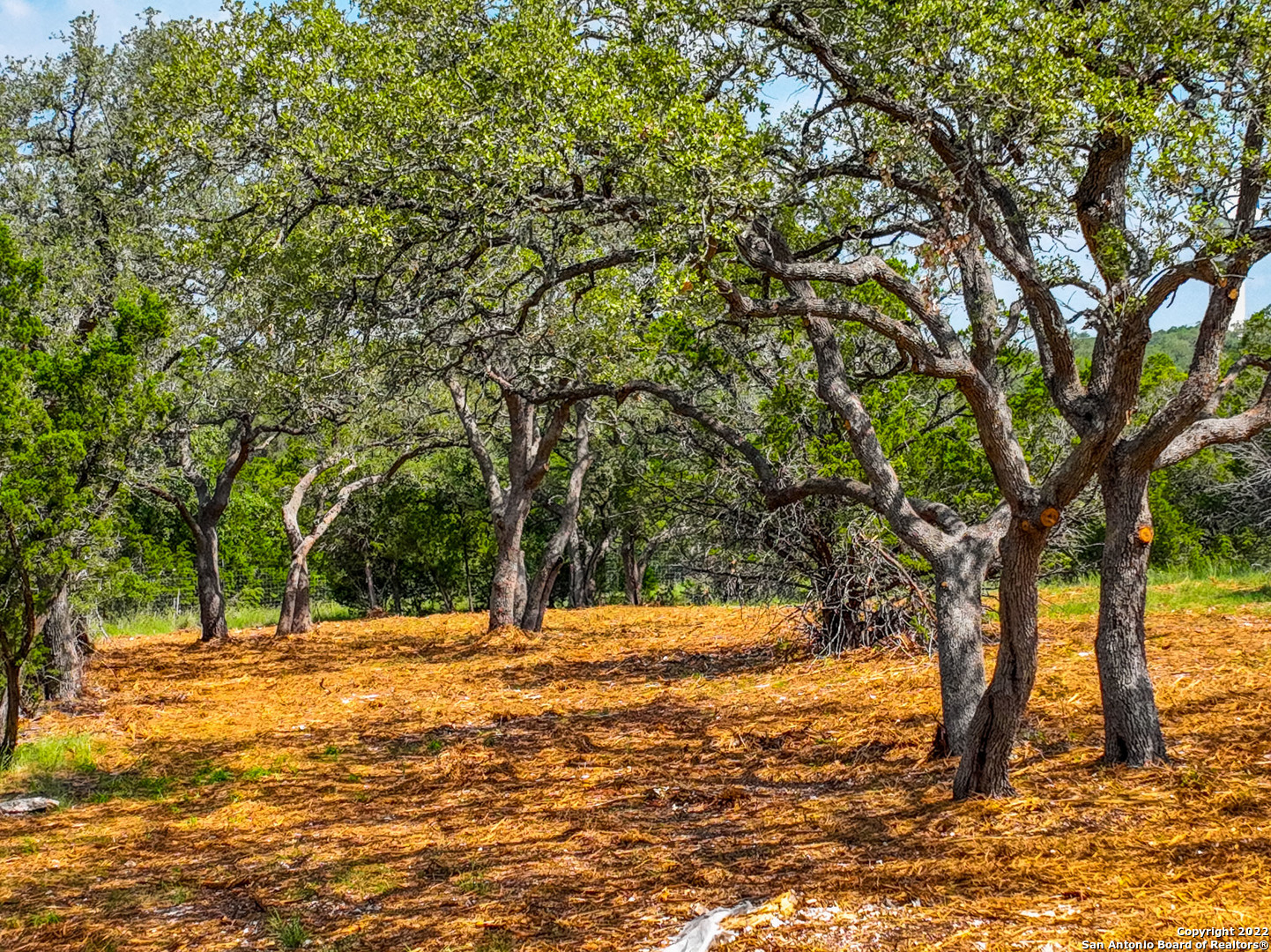 5922 Camp Creek Drive New Braunfels TX 78132