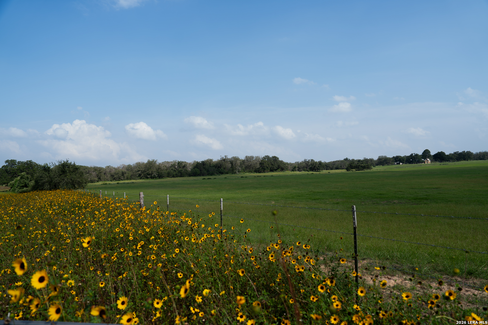 4863 Fm 775 La Vernia TX 78121