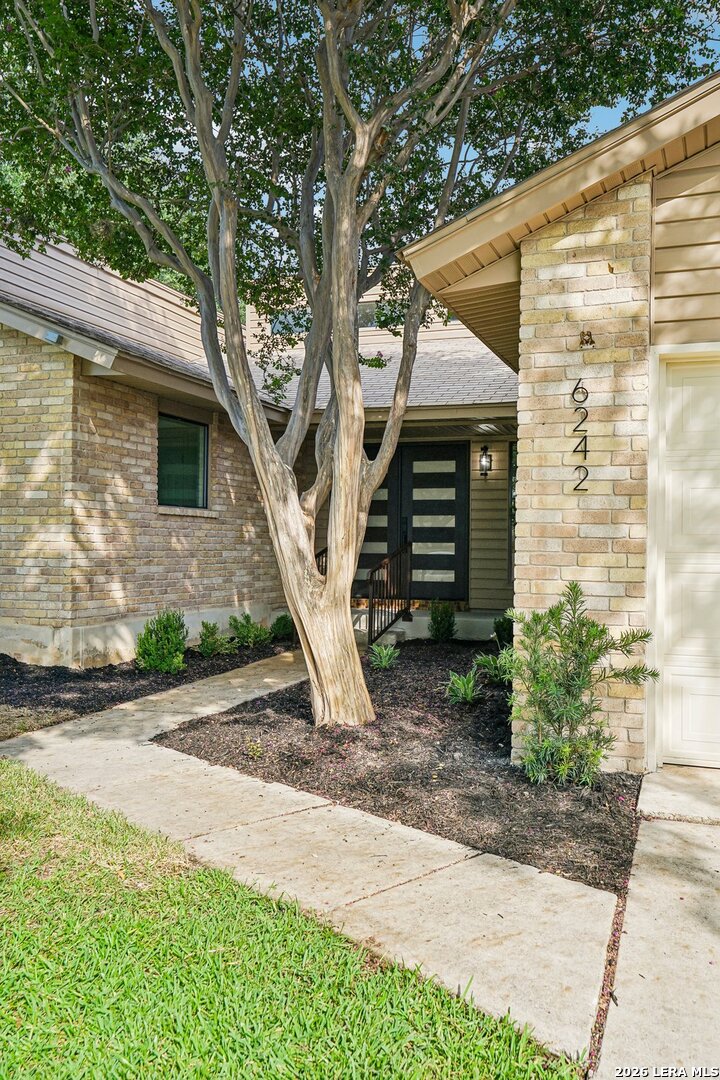 6242 Madeleine San Antonio TX 78229