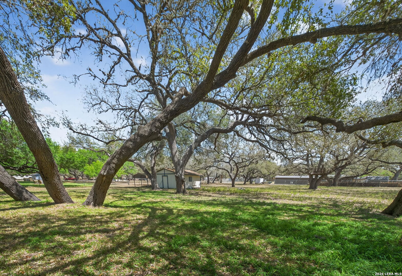 100 Crestline Pleasanton TX 78064