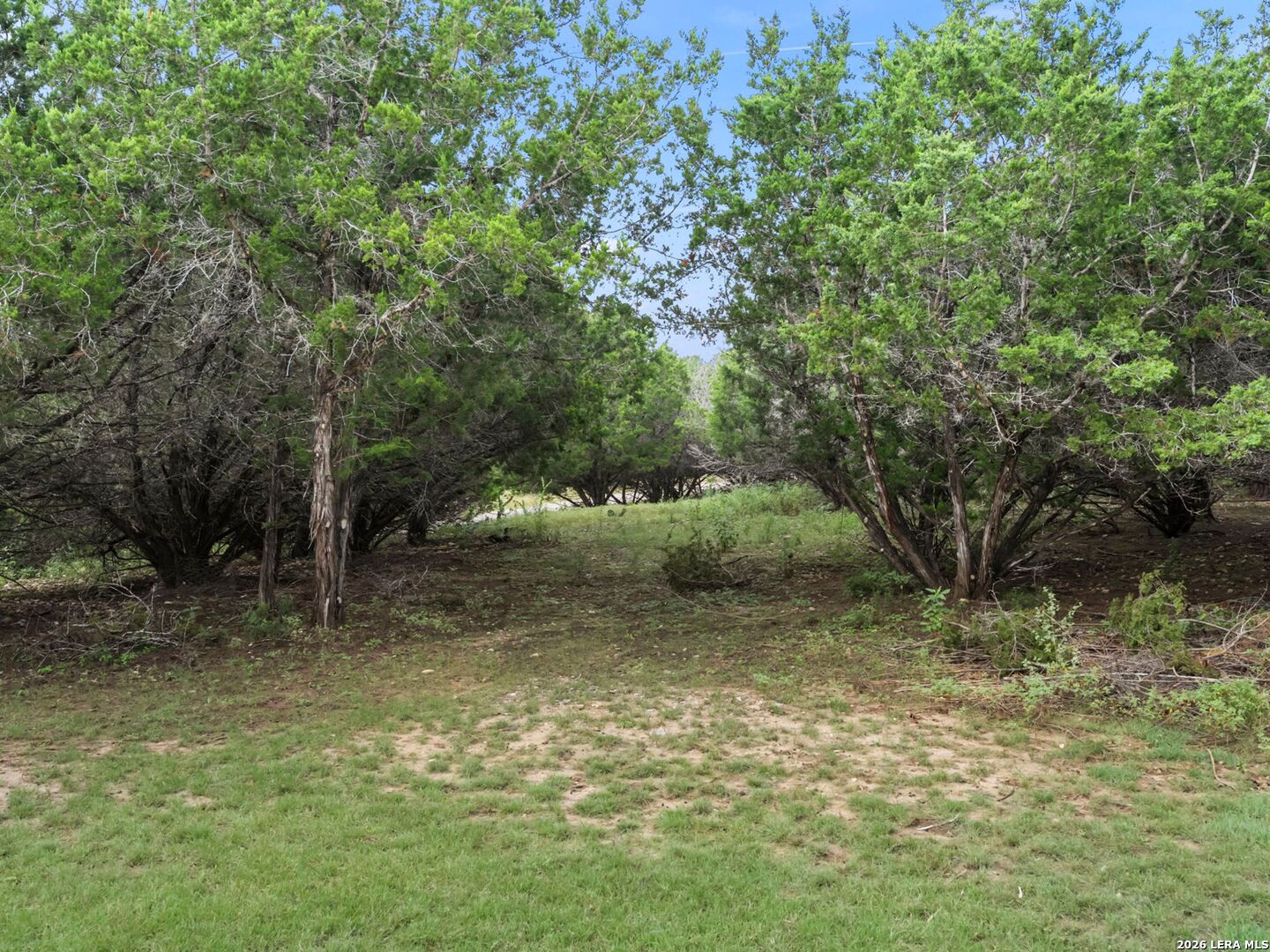 388 Deerwood Circle Bandera TX 78003