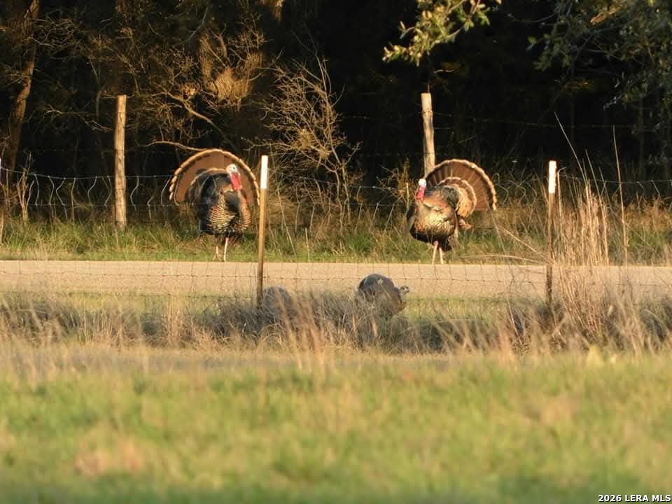1892 N Thunder Creek Road Utopia TX 78884
