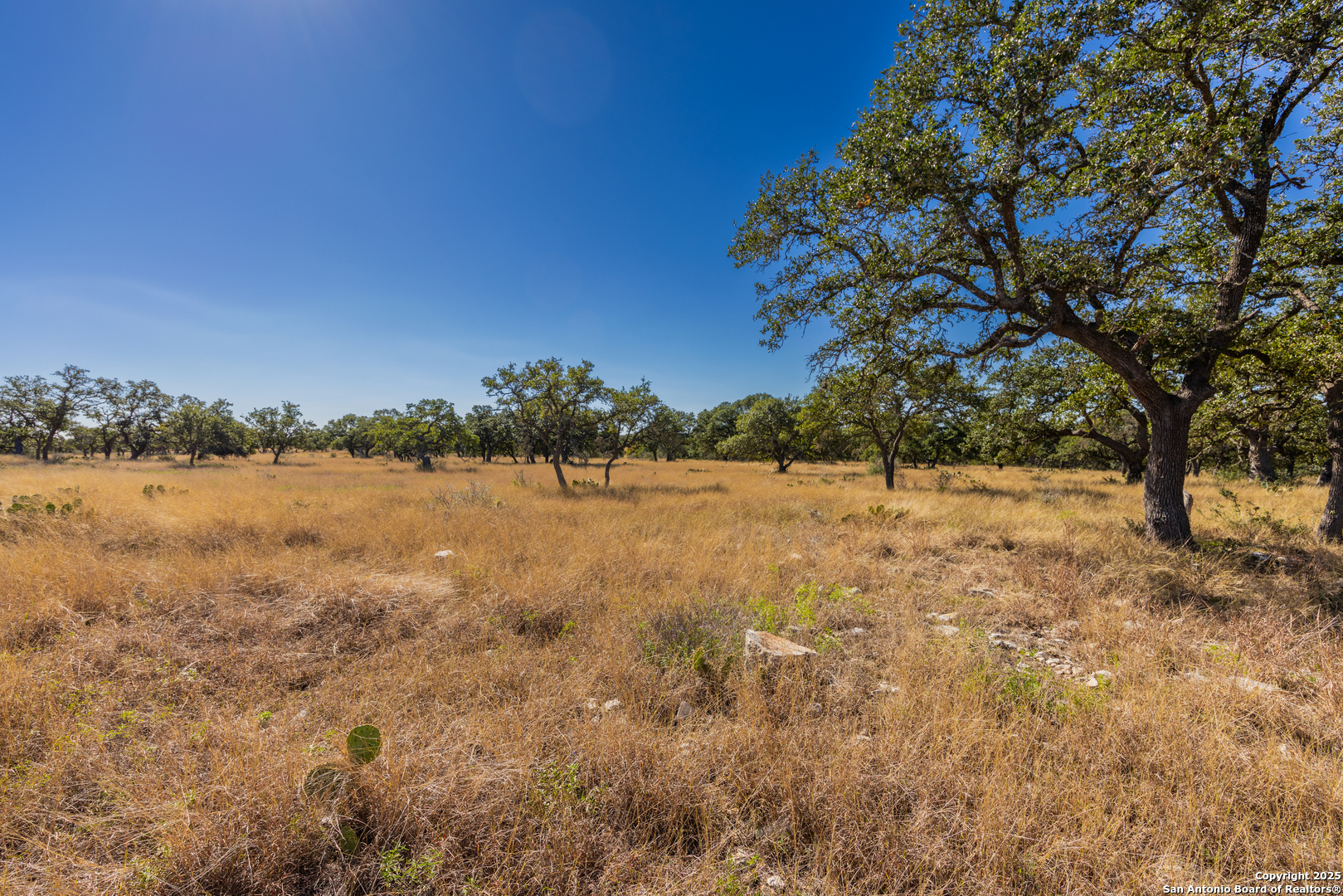 000 Cattlemans Crossing Drive Kerrville TX 78028