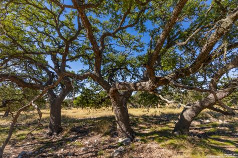 000 Cattlemans Crossing Drive Kerrville TX 78028