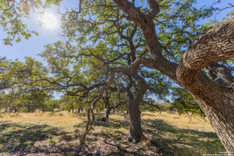 000 Cattlemans Crossing Drive Kerrville TX 78028
