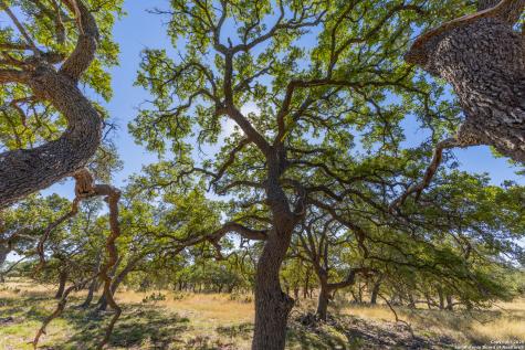 000 Cattlemans Crossing Drive Kerrville TX 78028