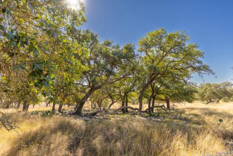 000 Cattlemans Crossing Drive Kerrville TX 78028