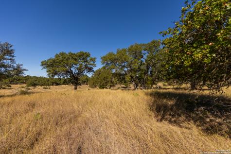 000 Cattlemans Crossing Drive Kerrville TX 78028