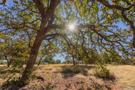 000 Cattlemans Crossing Drive Kerrville TX 78028