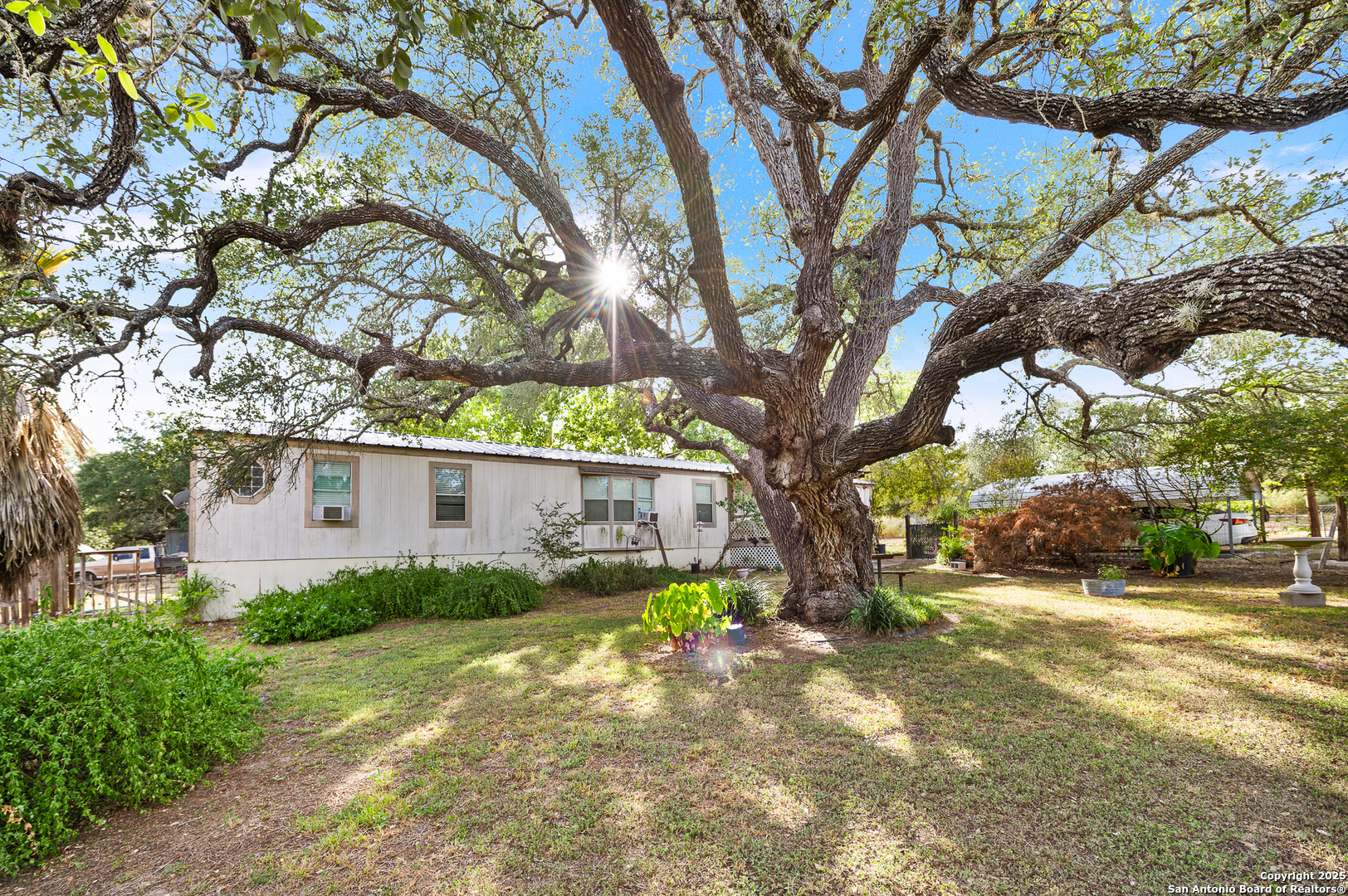 23805 Hackberry Point San Antonio TX 78264