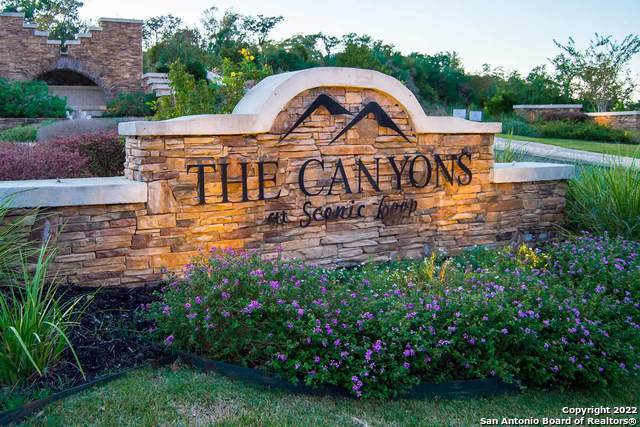 23906 Scenic Springs San Antonio TX 78255