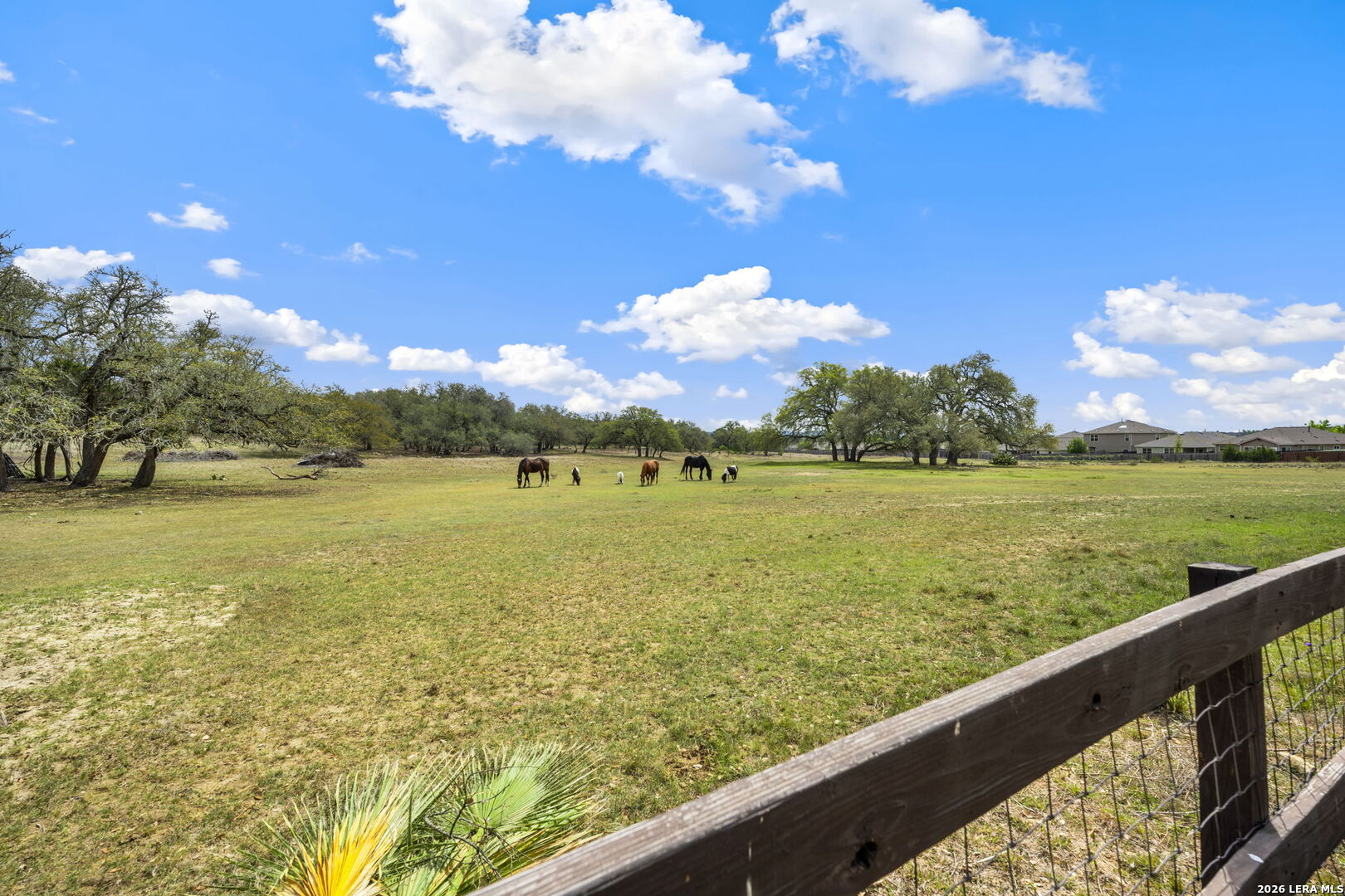 32550 Stahl Lane Bulverde TX 78163