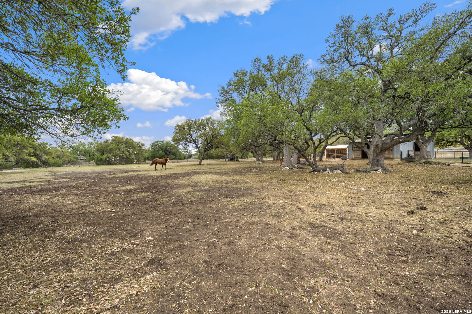 32550 Stahl Lane Bulverde TX 78163