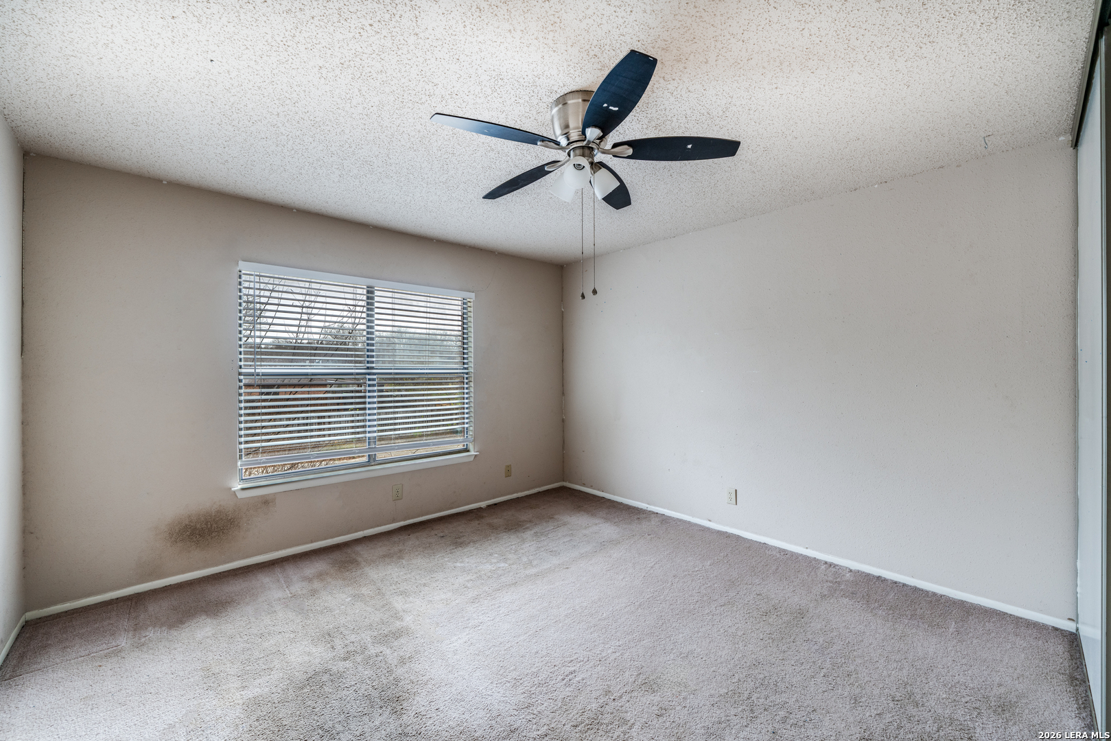 6903 Beech Trail Drive San Antonio TX 78244