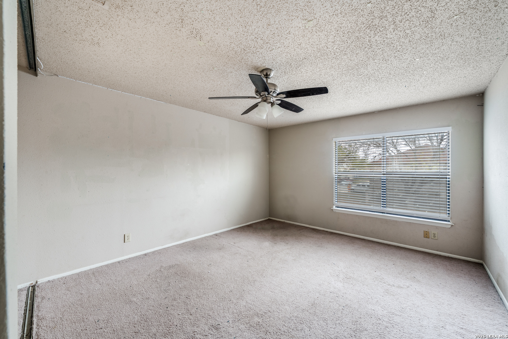 6903 Beech Trail Drive San Antonio TX 78244