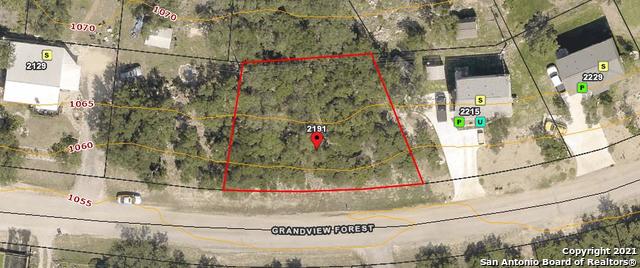 2191 Grandview Forest Canyon Lake TX 78133